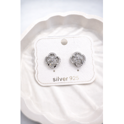 Gümüş İğneli Zirkon Taşlı Küpe